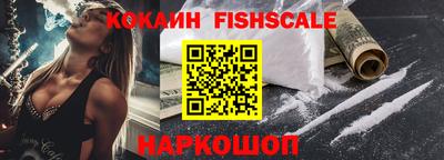 гашик Камышлов