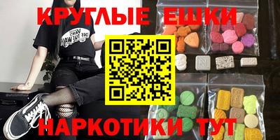 гашик Камышлов