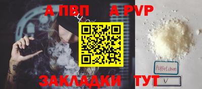 гашик Камышлов